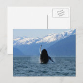Pacific Ballet Postkarte (Vorne/Hinten)