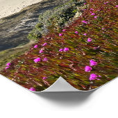 Pacific Coast Poster (Ecke)