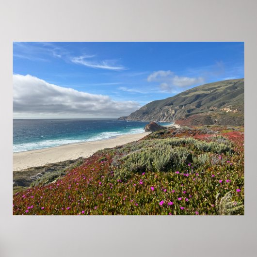 Pacific Coast Poster (Vorne)