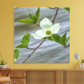 Pacific Dogwood Leinwanddruck (Insitu (Wohnzimmer))