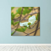 Pacific Dogwood Leinwanddruck (Insitu (Holzboden))