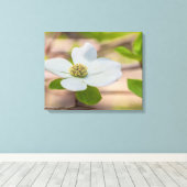 Pacific Dogwood Leinwanddruck (Insitu (Holzboden))