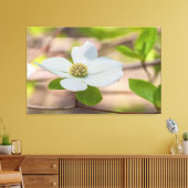 Pacific Dogwood Leinwanddruck (Insitu (Wohnzimmer))