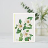 Pacific Dogwood Vintag Botanical Illustration Postkarte (Stehend Vorderseite)