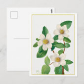 Pacific Dogwood Vintag Botanical Illustration Postkarte (Vorne/Hinten)