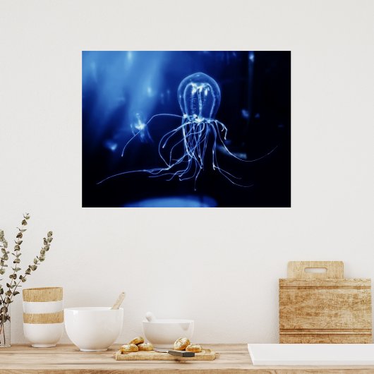 Pacific Fluorescent Jellyfish Poster (Küche)