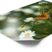 Pacific Fritillary Butterfly Fotodruck (Ecke)