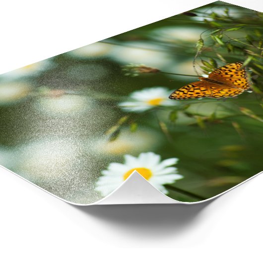 Pacific Fritillary Butterfly Fotodruck (Ecke)