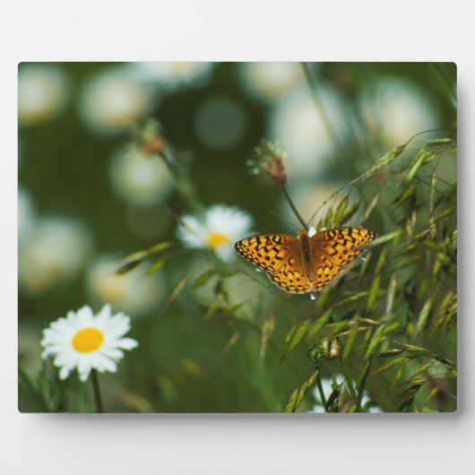 Pacific Fritillary Butterfly Fotoplatte (Vorderseite)