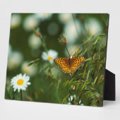 Pacific Fritillary Butterfly Fotoplatte (Seite)