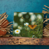 Pacific Fritillary Butterfly Fotoplatte (Seite)
