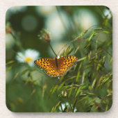 Pacific Fritillary Butterfly Getränkeuntersetzer (Vorderseite)