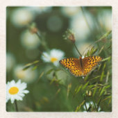 Pacific Fritillary Butterfly Glasuntersetzer (Vorderseite)
