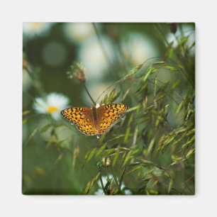 Pacific Fritillary Butterfly Magnet
