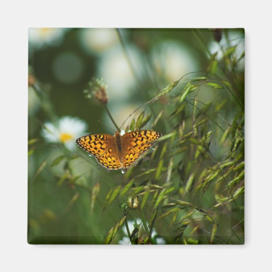 Pacific Fritillary Butterfly Magnet (Vorne)