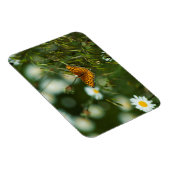 Pacific Fritillary Butterfly Magnet (Rechte Seite)
