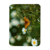 Pacific Fritillary Butterfly Magnet (Vertikal)
