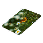 Pacific Fritillary Butterfly Magnet (Linke Seite)