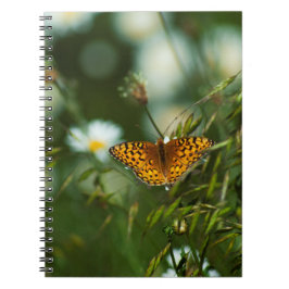 Pacific Fritillary Butterfly Notizblock