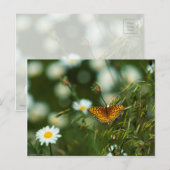 Pacific Fritillary Butterfly Postkarte (Vorne/Hinten)