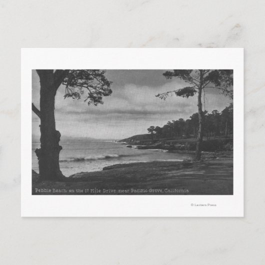 Pacific Grove, CA - Pebble Beach auf 17 km Fahrt Postkarte (Vorderseite)