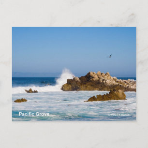 Pacific Grove California Products Postkarte