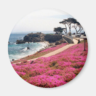 Pacific Grove-Monterey Calif Magnet