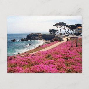 Pacific Grove-Monterey Calif Postkarte
