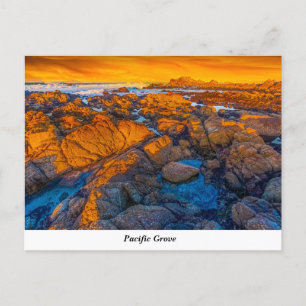 Pacific Grove Postcard Postkarte