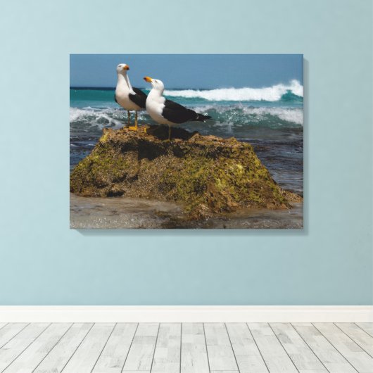 Pacific Gull Bird Beach Ocean Landscape Australien Leinwanddruck (Insitu (Holzboden))