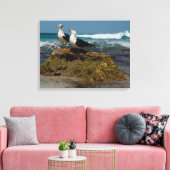 Pacific Gull Bird Beach Ocean Landscape Australien Leinwanddruck (Insitu (Wohnzimmer))
