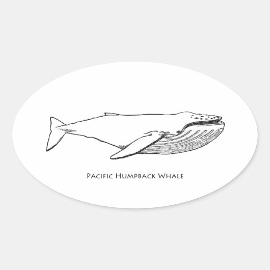 Pacific Humpback Whale Ovaler Aufkleber (Vorderseite)