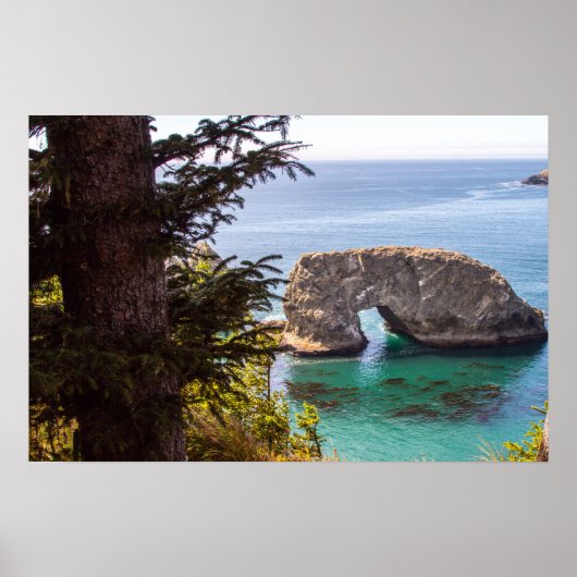 Pacific North West Ocean View Poster (Vorne)
