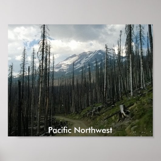 Pacific Northwest Back Road Beauty Poster (Vorne)