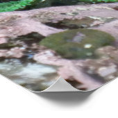 Pacific Northwest Tidepool with Green Anenomes Poster (Ecke)