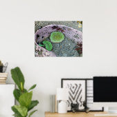 Pacific Northwest Tidepool with Green Anenomes Poster (Heimbüro)