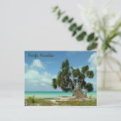 Pacific Paradise Postkarte (Stehend Vorderseite)