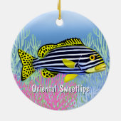 Pacific Reef Oriental Sweetlips Keramikornament (Hinten)