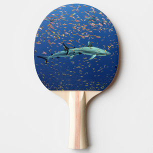 Pacific Reef Sharks Tischtennis Schläger