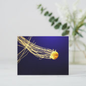 Pacific Sea Nettle Postkarte (Stehend Vorderseite)