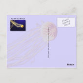 Pacific Sea Nettle Postkarte (Rückseite)