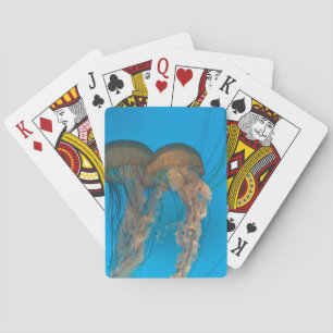 Pacific Sea Nettles Klassische Spielkarten