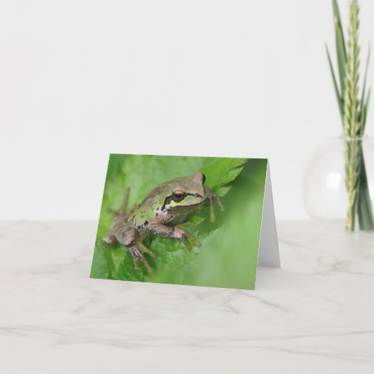 Pacific Tree Frog - Framework Art Card Karte (Vorderseite)