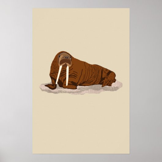 Pacific Walrus Poster (Vorne)