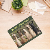 Pack of Happy Llamas Together Postkarte