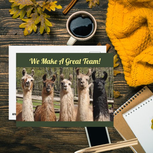 Pack of Happy Llamas Together Postkarte
