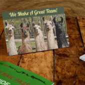 Pack of Happy Llamas Together Postkarte