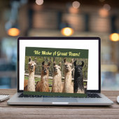 Pack of Happy Llamas Together Postkarte