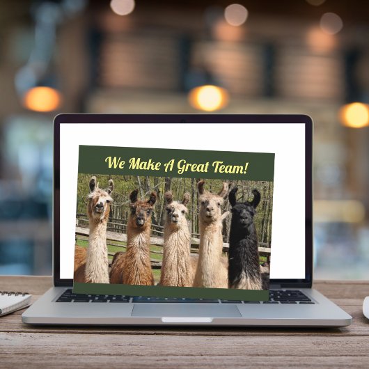 Pack of Happy Llamas Together Postkarte