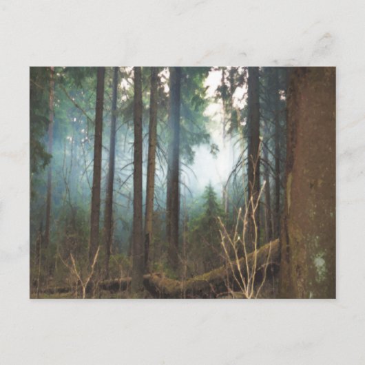 Päckchenholz Postkarte (Vorderseite)